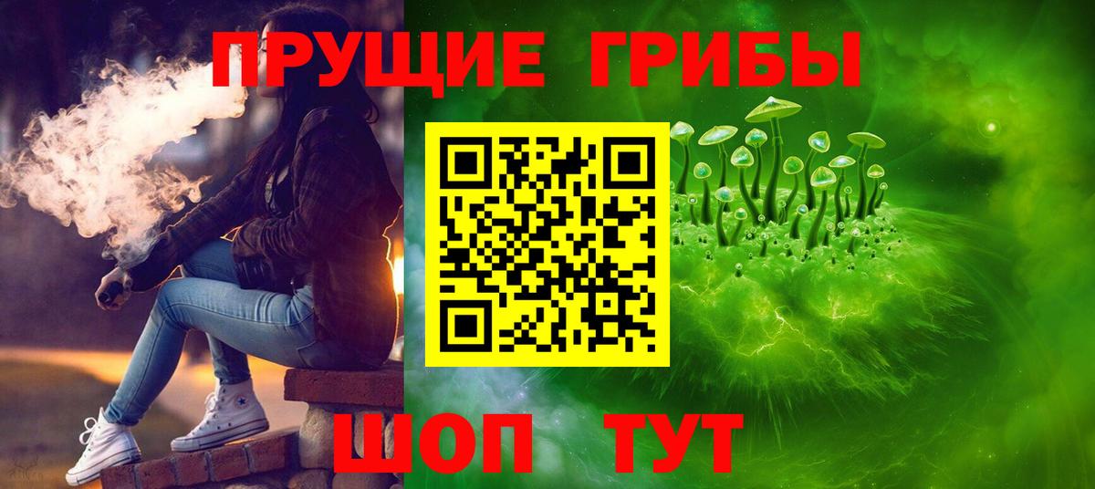 Псилоцибиновые грибы мухоморы Кузнецк